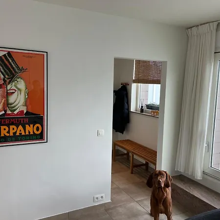 Penthouse 29 * Oostende